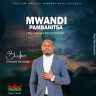 Shallom Innocent Kamanga - Mwandipambanitsa